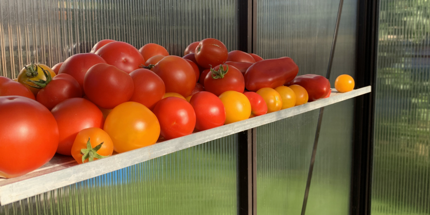 ALU-PLAUKTS 20 - Siltumnīcas plaukts (D-20 cm)