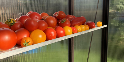 ALU-PLAUKTS 20 - Siltumnīcas plaukts (D-20 cm)