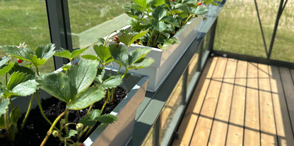 ALU-PLAUKTS 20 - Siltumnīcas plaukts (D-20 cm)