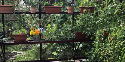 ALU-PLAUKTS 20 - Siltumnīcas plaukts (D-20 cm)