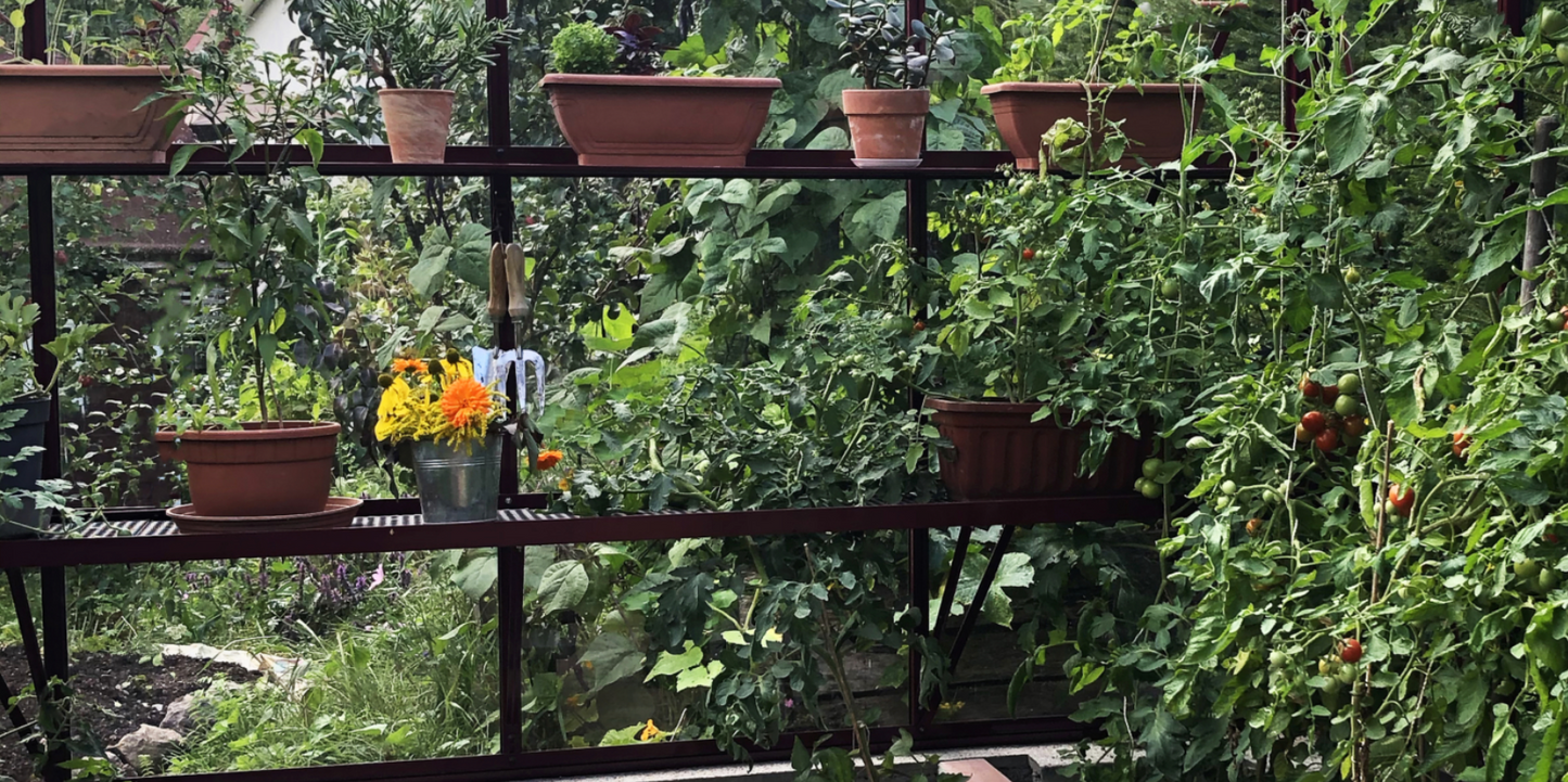 ALU-SHELF 40 - siltumnīcas plaukts (D-40 cm)