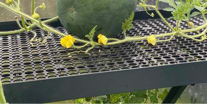 ALU-SHELF 40 - siltumnīcas plaukts (D-40 cm)