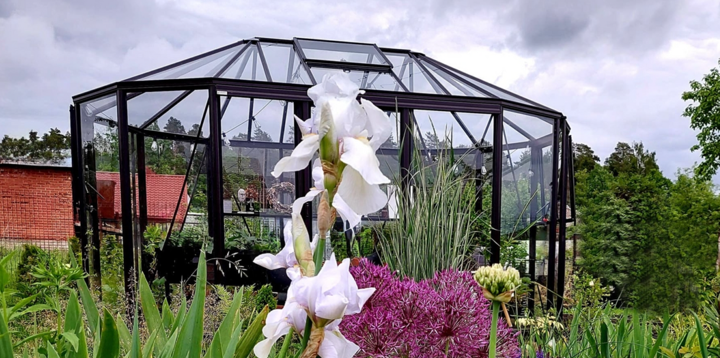 OVALIS ovāla alumīnija oranžērija dārzā